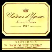 Yquem77