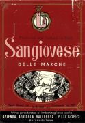 Marche_Bonci_Sangiovese